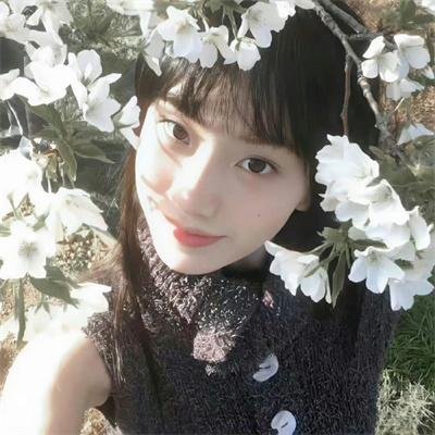 二哥 在线观看